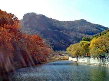 新澳天天开好彩资料大全，日本山田气动隔膜泵